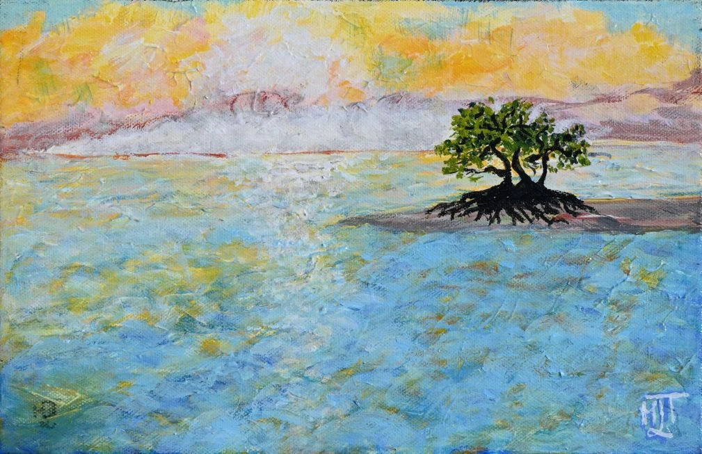 Ilôt singulier en mer tropicale