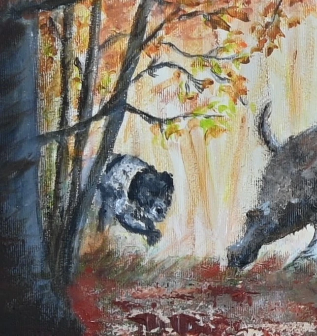 Chasse aux sangliers en Montagne Noire, Occitanie (100 x 60 cm)
